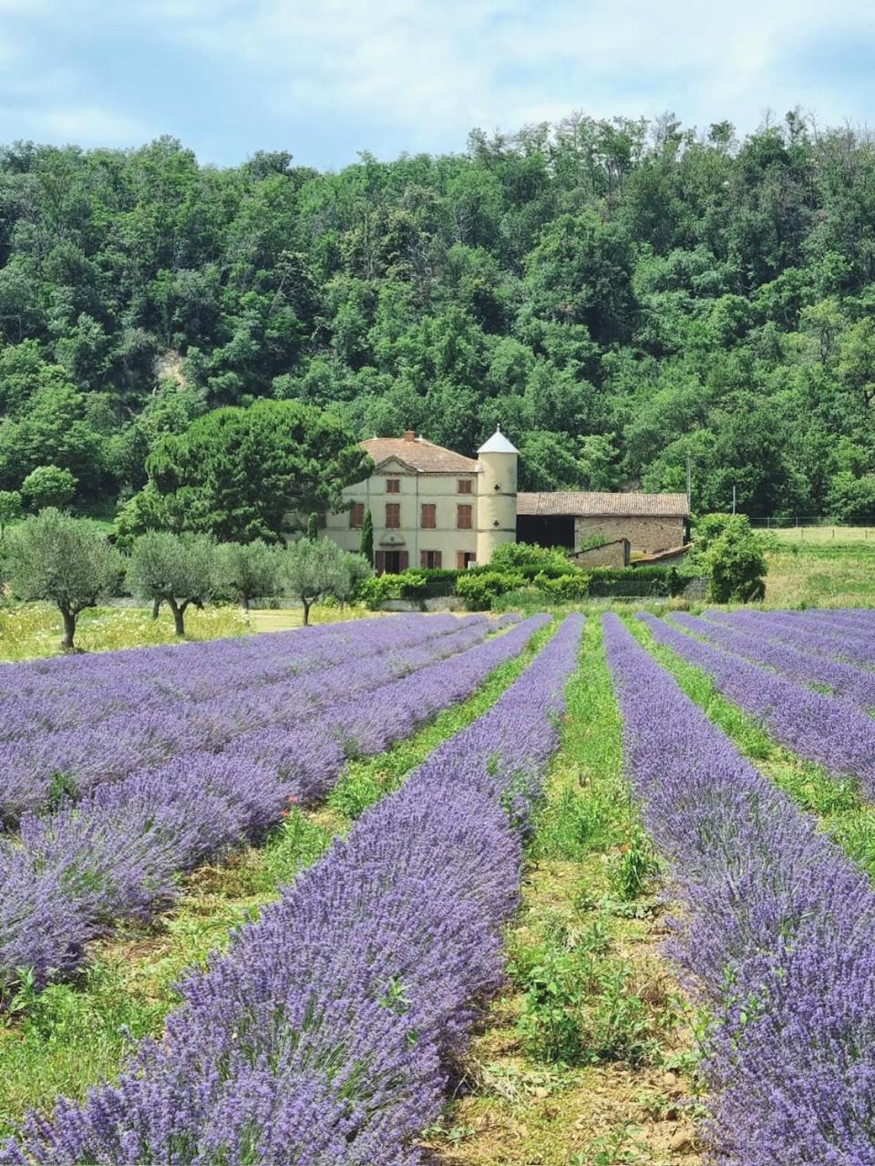 Vila Domaine Des Balmes Romans-sur-Isère Exteriér fotografie