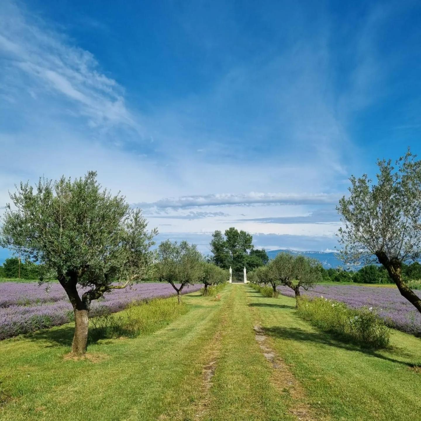 Vila Domaine Des Balmes Romans-sur-Isère Exteriér fotografie