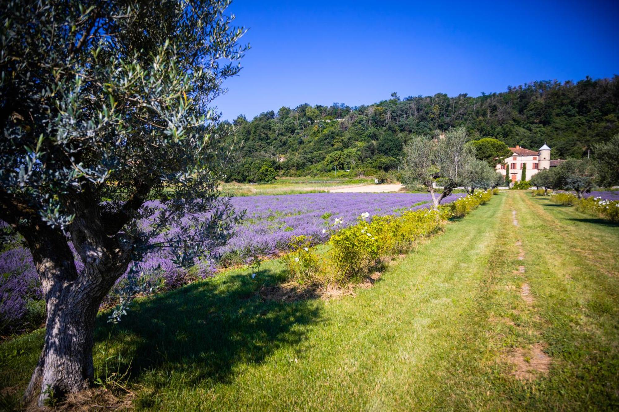 Vila Domaine Des Balmes Romans-sur-Isère Exteriér fotografie